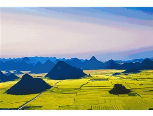菜籽的收獲季節(jié)到了! 遍地黃花，清香飄田野~