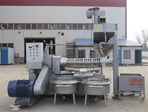 榨油機的具體工藝是怎樣的呢？